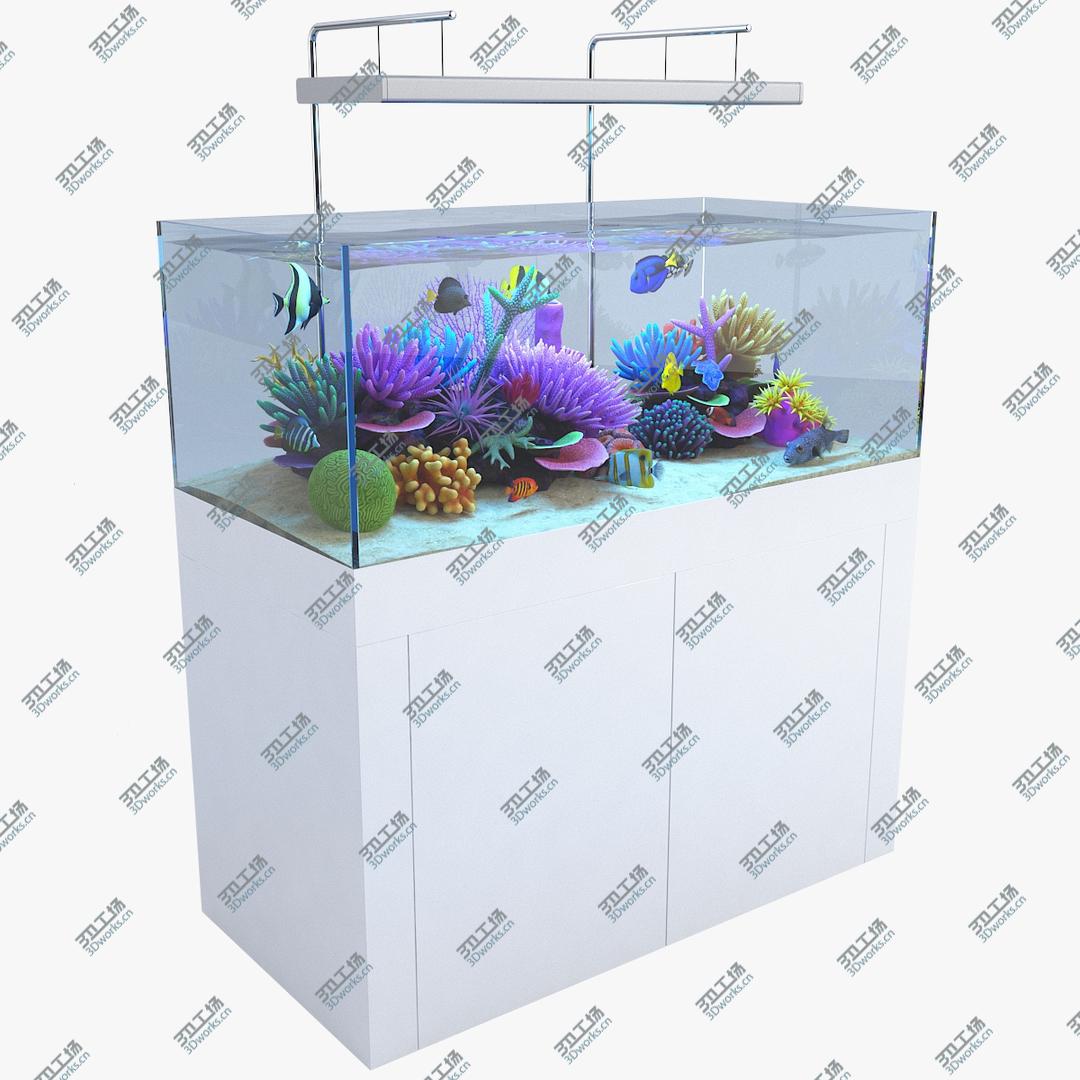 images/goods_img/202104093/3D Aquarium 01 model/1.jpg